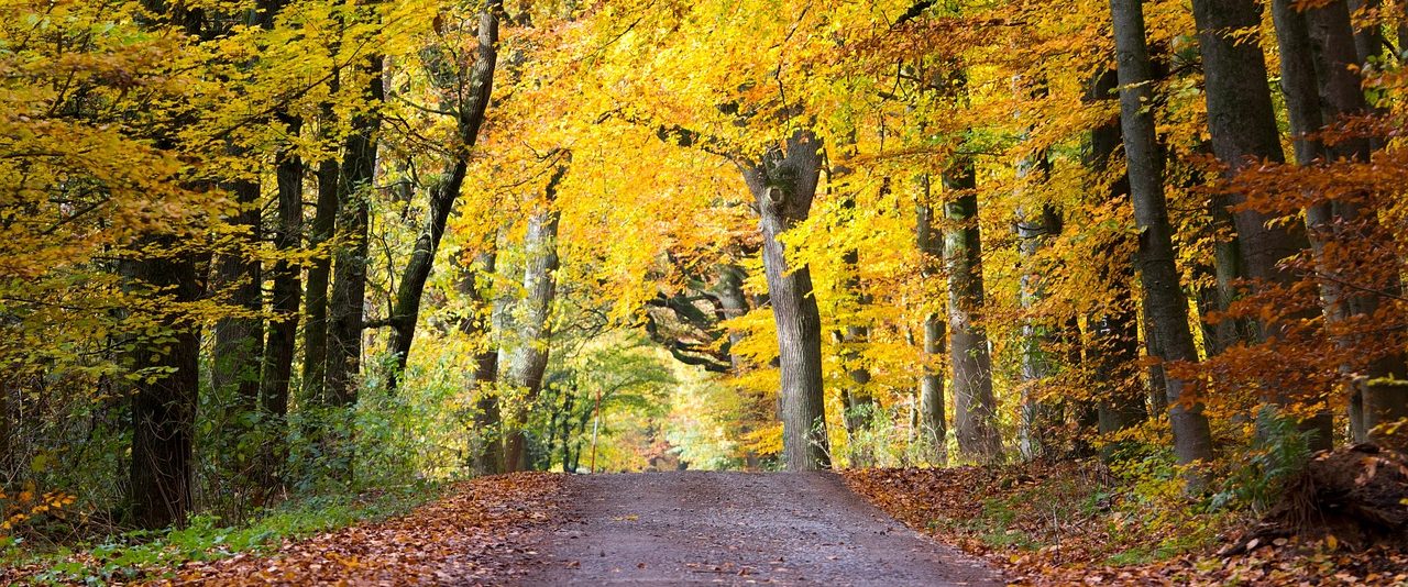 Muskelsvindfonden medlemsaktivitet Musholm Midtgruppen fælleskab